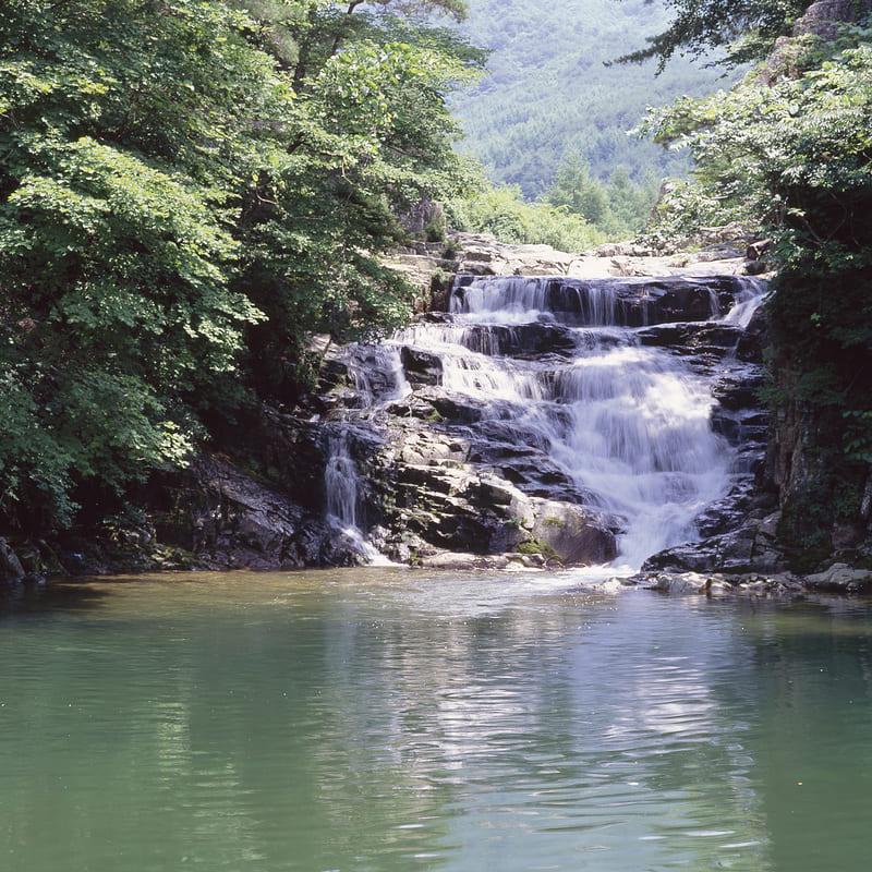 Timon-Waelchli-Flussbestattung-04