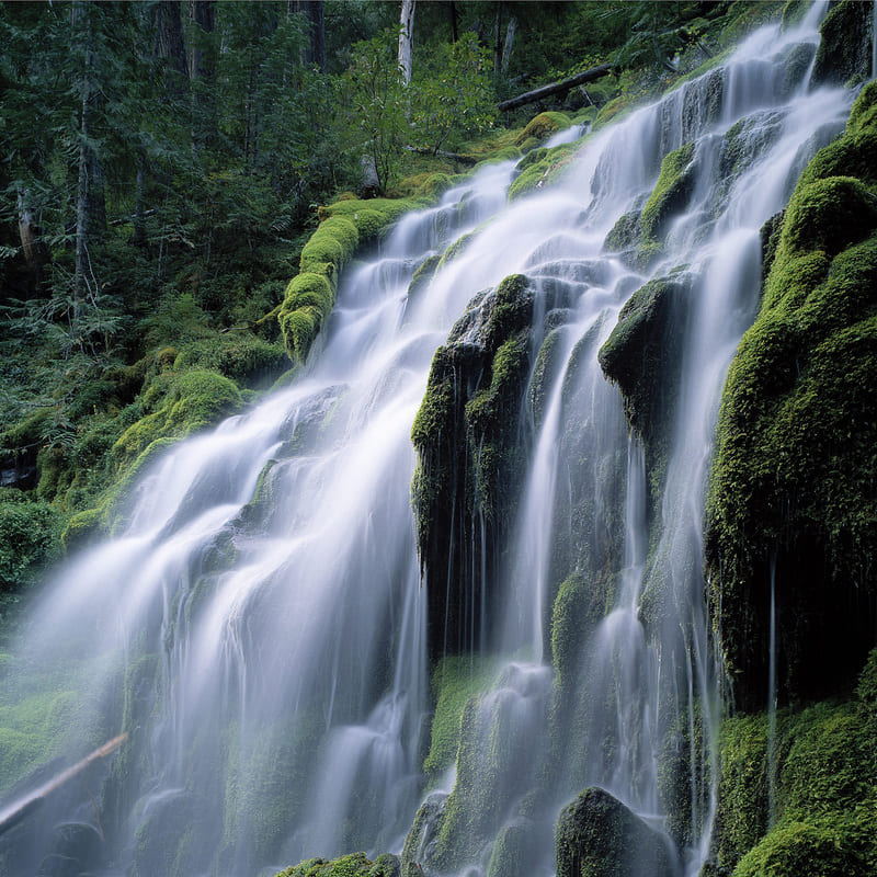 Timon-Waelchli-Wasserfallbestattung-01