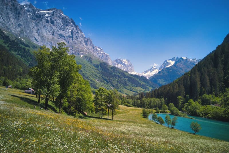 naturbestattungen-timon-waelchli